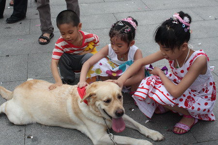 Dogs fitted with chips in run-up to Asian Games