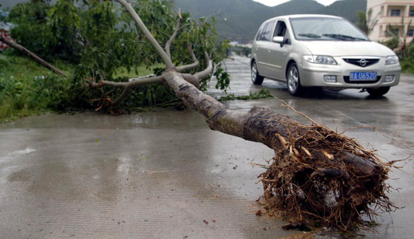 Typhoon Conson hits Hainan; 2 killed