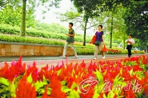 Park renovation program to green Guangzhou city