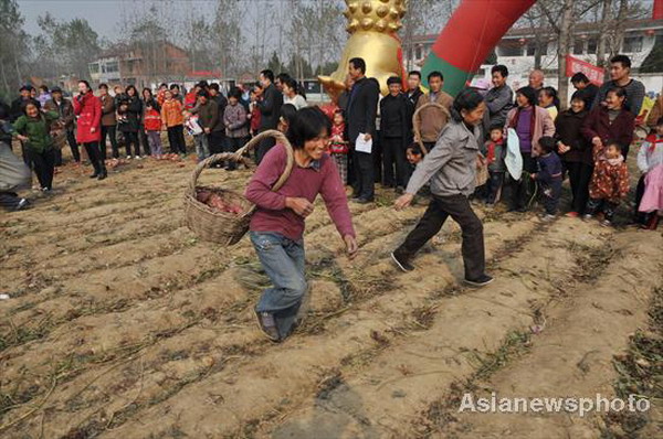 Sweet potatoes bring profit and fun to village