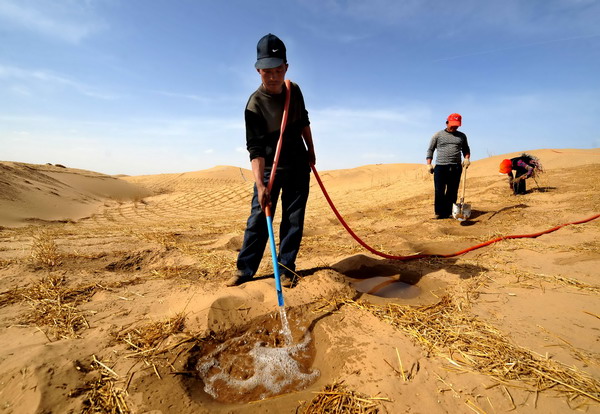 Yellow River basin suffers serious erosion