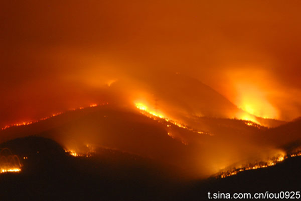 Forest fire put out without casualties in Yunnan