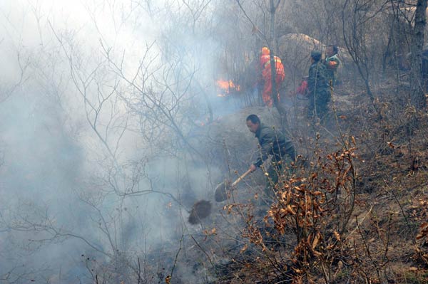 Forest fire breaks out in North China