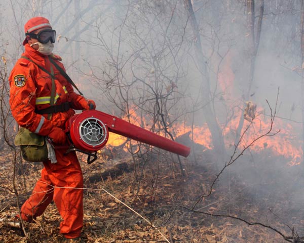 Forest fire put out by 5,000 firefighters in NE China