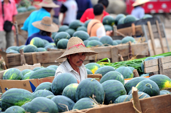 Watermelons sell poorly after recent explosions