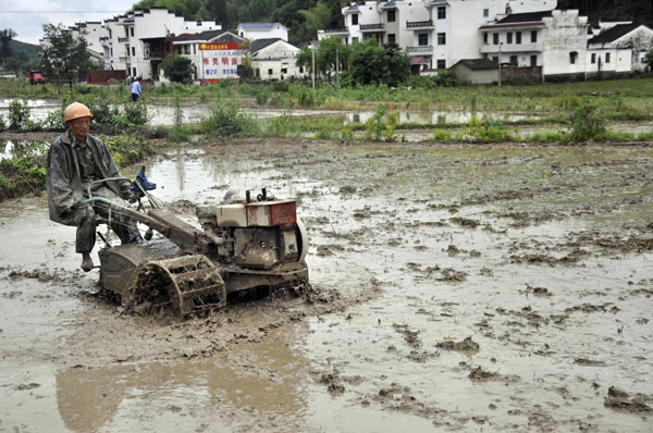 Relief as torrential rains take a break