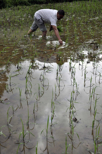 Relief as torrential rains take a break