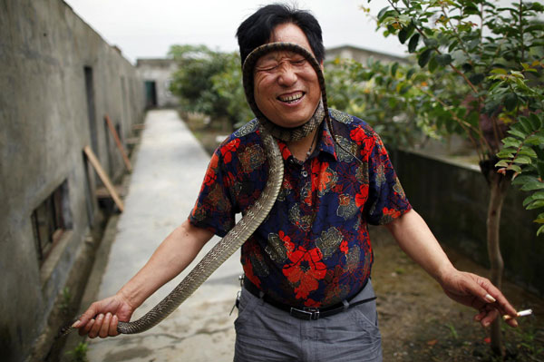 Chinese village bites into snake business