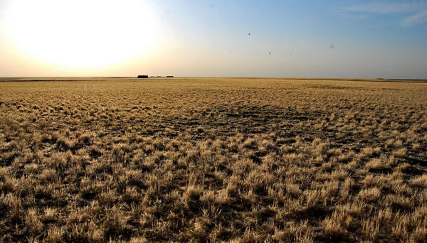 Inner Mongolia hit by severe drought