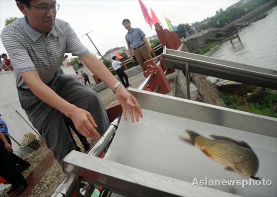 China releases over 1b fish into Yangtze River