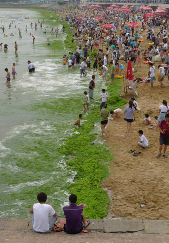 A green headache for E China city