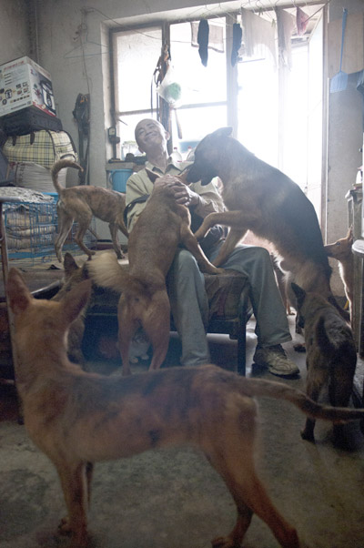 Man's love for pets turns home into a pigsty 