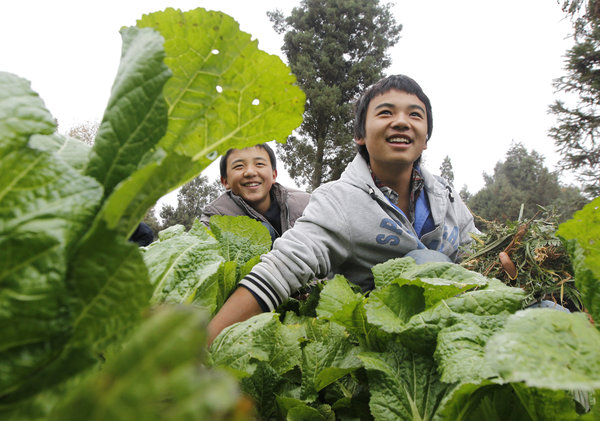 School turns wasteland into farm for students