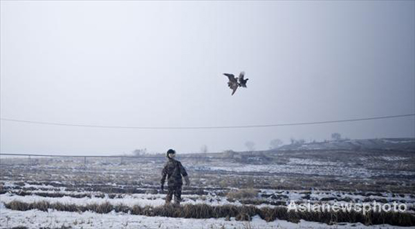 Last living ancient falconry tribe in NE China