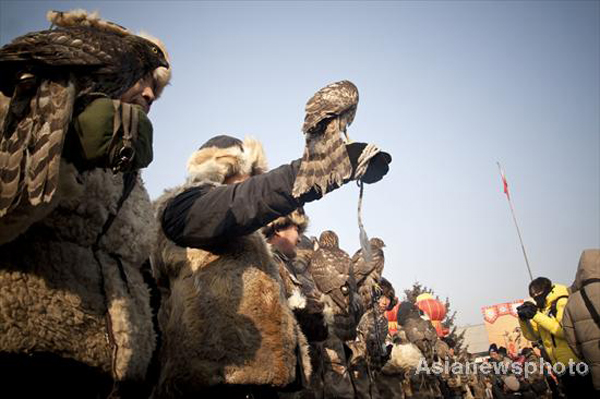 Last living ancient falconry tribe in NE China