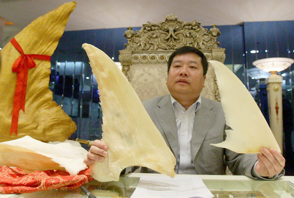 Take shark fin off official menus