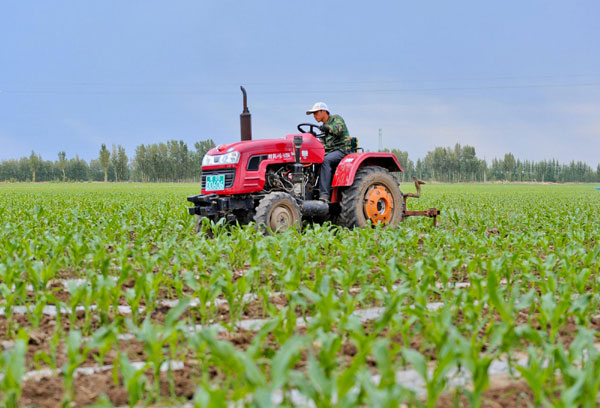 China strengthens monitoring of farm produce prices