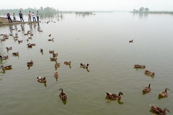 Wetland reserve to get education center