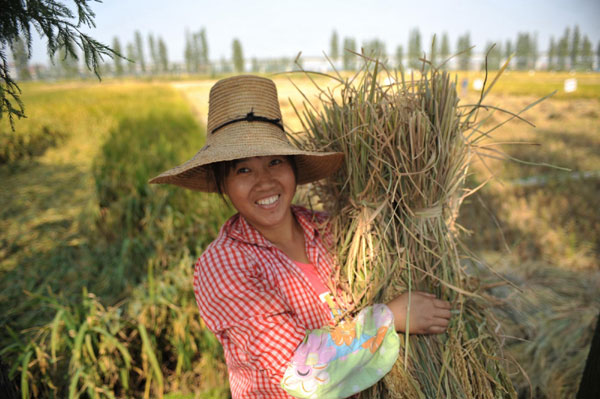 China's farmland area steady for 3 years