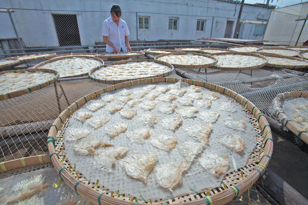 Shark fin soup a potentially dangerous delicacy