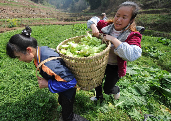 Family farms plant seeds for prosperity