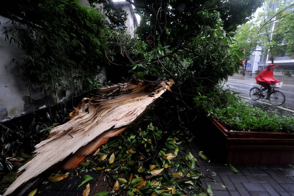 Typhoon Trami makes landfall in East China