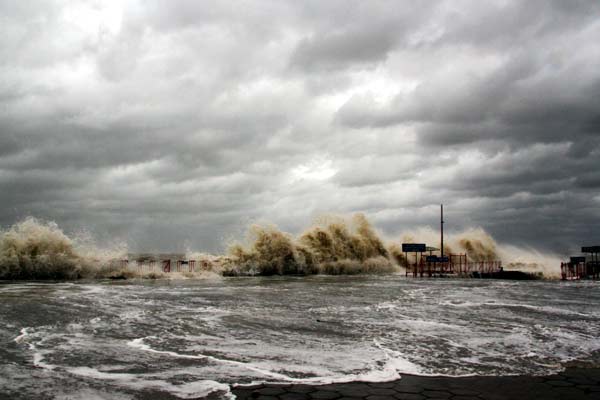 Typhoon Usagi kills two