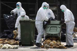 China reports 10 H7N9 human cases