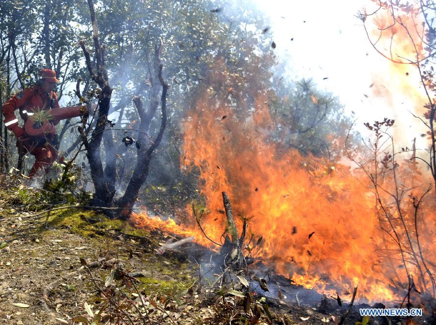 Forest fire breaks out in Sichuan, SW China