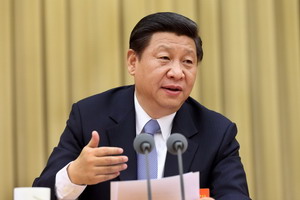 Law, reform must work in tandem, Xi tells meeting