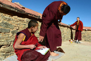 China invests 1.2b yuan to rebuild Tibetan town