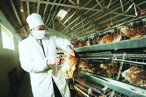 Expert says H7N9 vaccine important for next wave