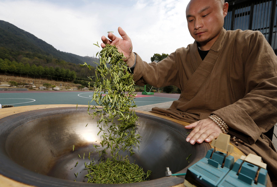 Monks pick zen tea in Hangzhou's Fajing Buddha Temple