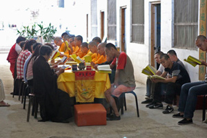 Monks pick zen tea in Hangzhou's Fajing Buddha Temple