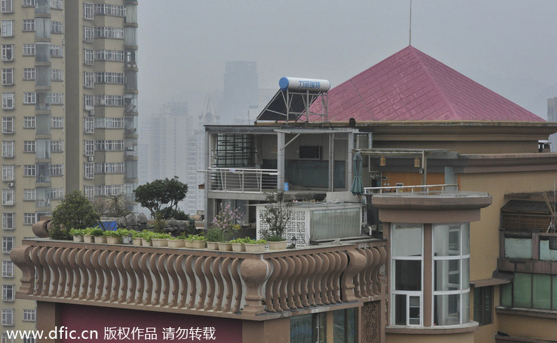 Illegal gardens built on roofs torn down