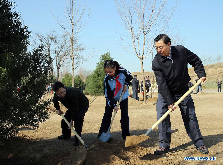 Xi calls for persistent afforestation efforts