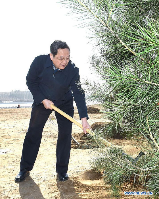 Xi calls for persistent afforestation efforts