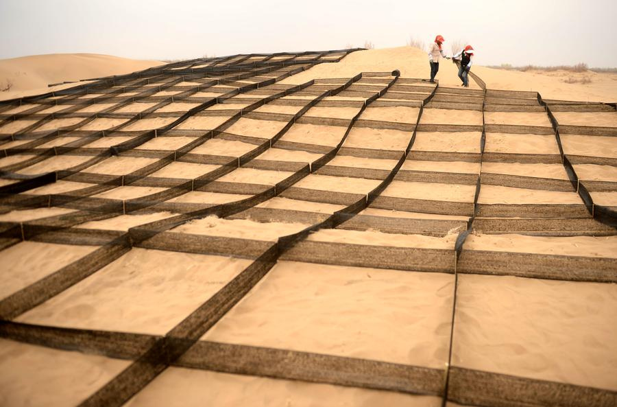 Gansu village tries to make the desert bloom