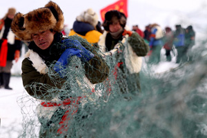 Peak season for kelp in Shandong