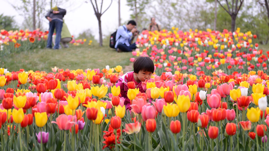 Blooming beauty