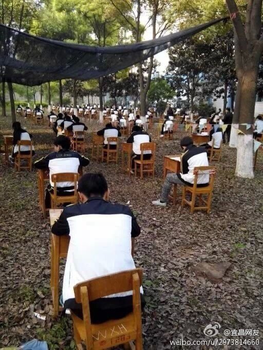 Exams held in woods to prevent cheating