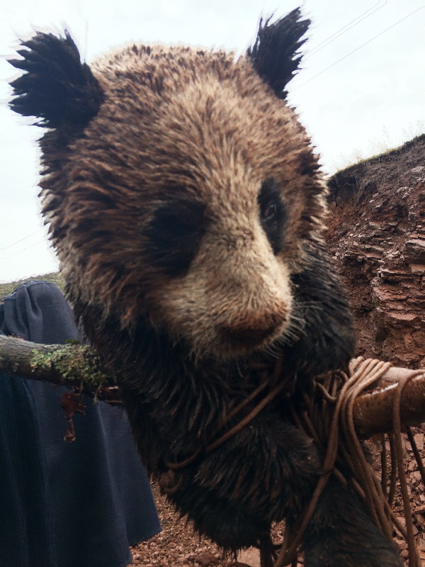 Wild panda in need of a wash and brush up