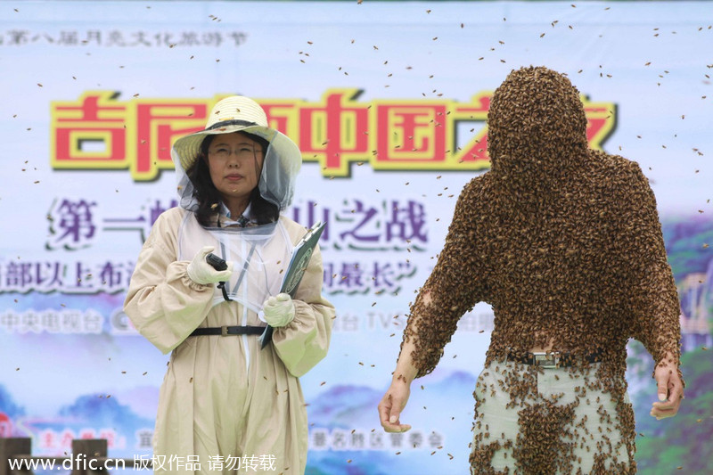 Jiangxi man abuzz over new Guinness bee record