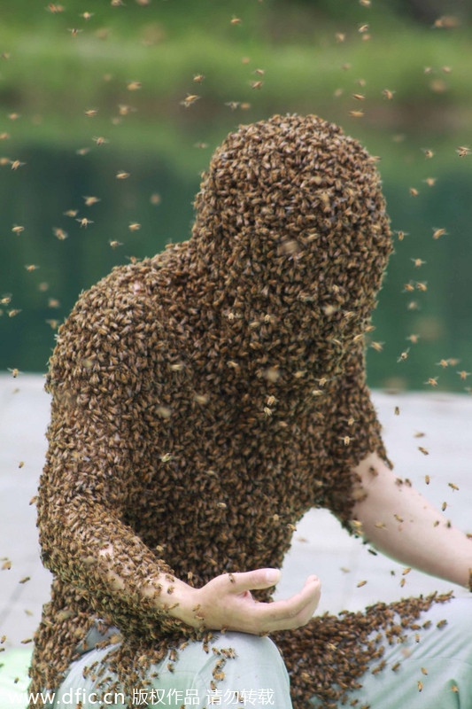 Jiangxi man abuzz over new Guinness bee record