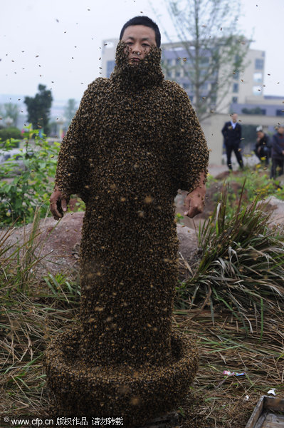 Jiangxi man abuzz over new Guinness bee record