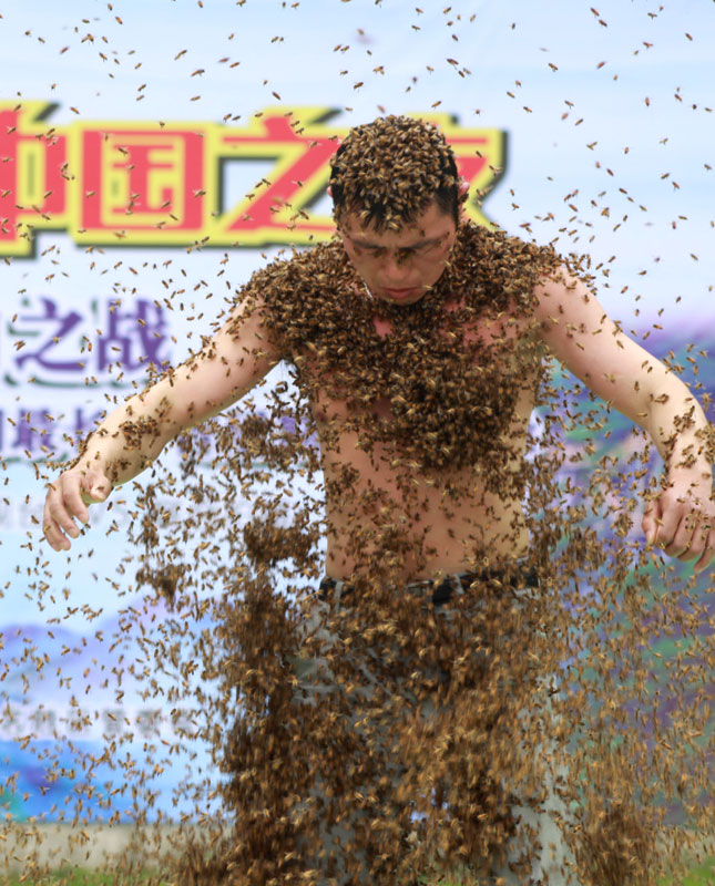 Jiangxi man abuzz over new Guinness bee record