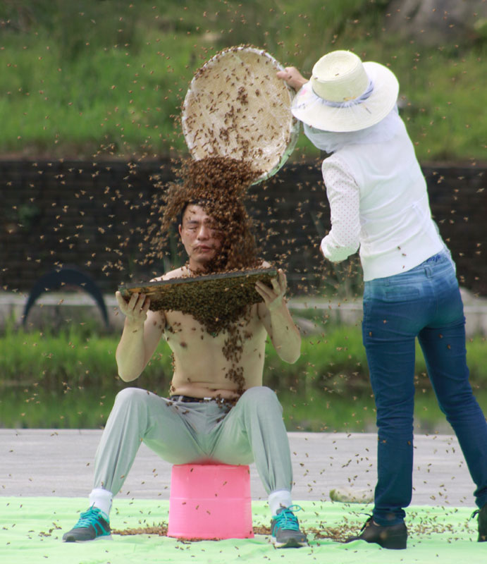 Jiangxi man abuzz over new Guinness bee record