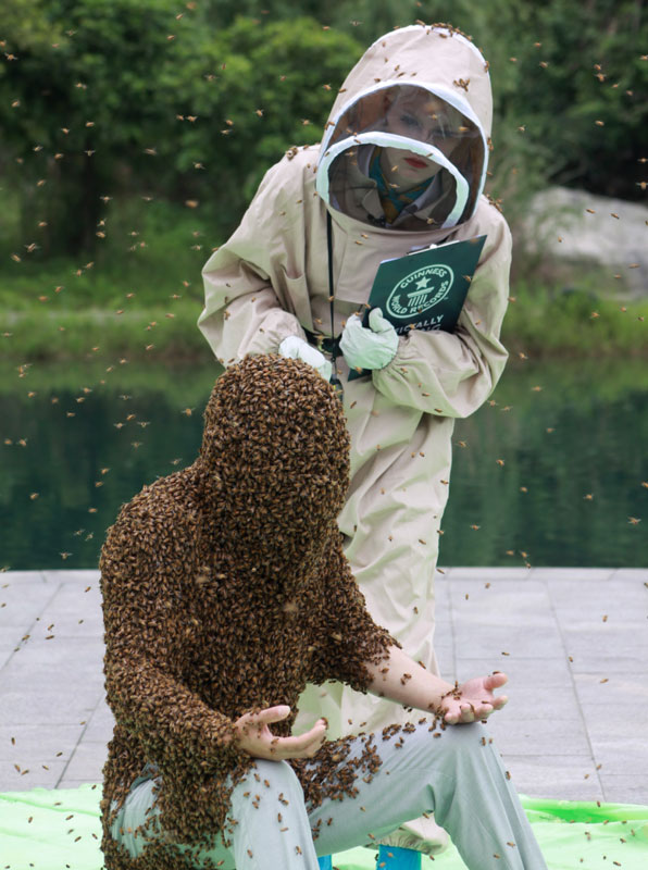 Jiangxi man abuzz over new Guinness bee record