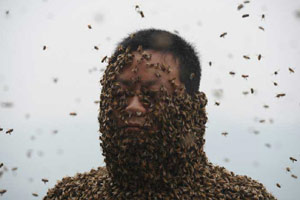 Jiangxi man abuzz over new Guinness bee record