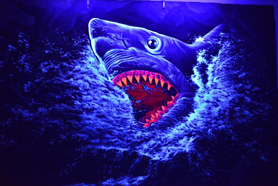 3D luminous art show in Guangzhou